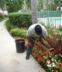 one of our contractors is doing garden maintenance