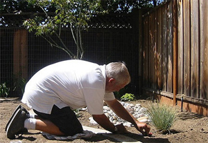 a contractor is installing a new drip irrigation system